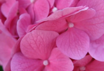 ​每天一句小情话短句给男朋友 说什么话让男人疯狂想你