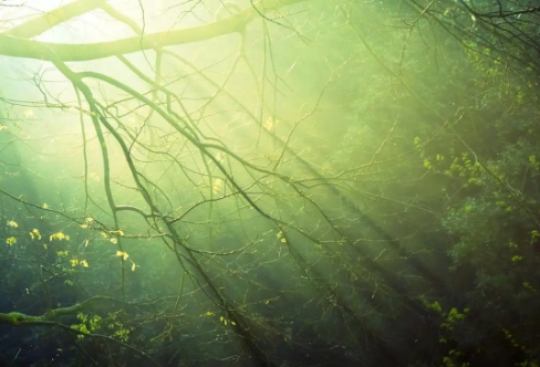 1708615038124645.png image.png