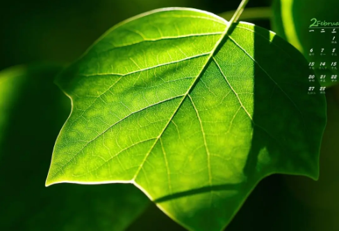 1708615205396836.png image.png