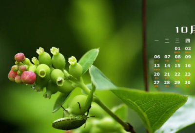 ​想念天堂妈妈伤感说说 生日想念天堂妈妈伤感说说