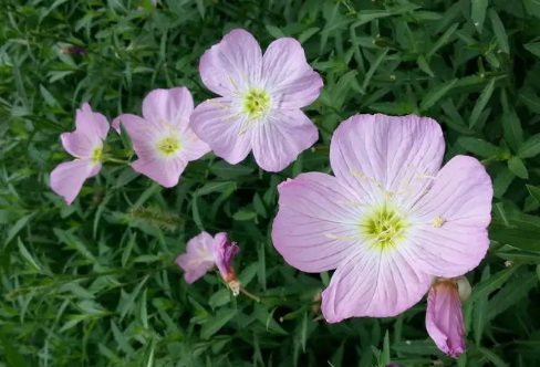 1708615705728887.png image.png