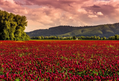 1708615871269276.png image.png