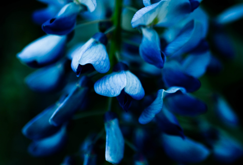 1708616538648120.png image.png