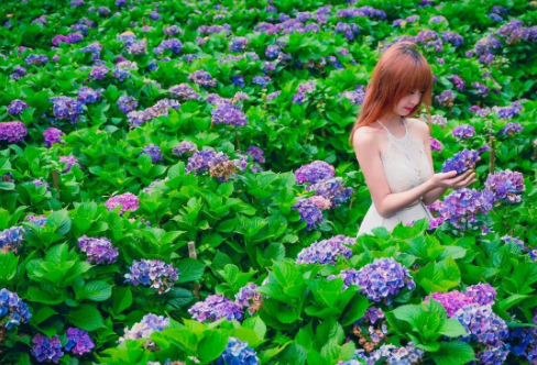 1708617038703664.png image.png