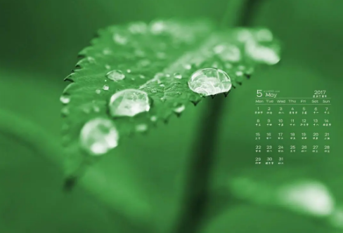 1708617204185553.png image.png