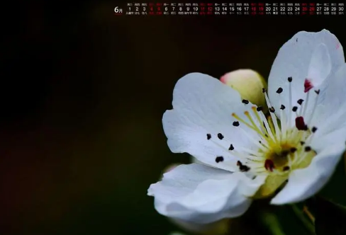 1708617537994919.png image.png