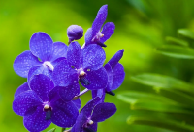 ​二月最后一天心情说说(精选63句)