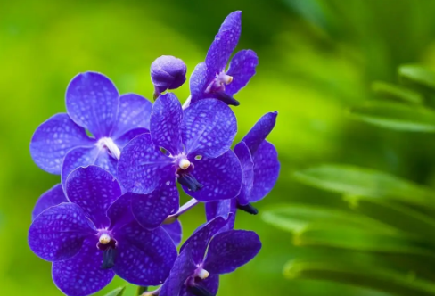 1708617870665200.png image.png