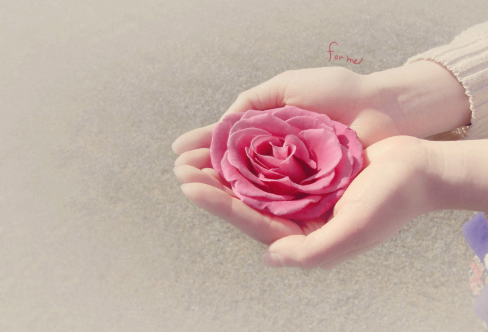 1708618036230426.png image.png