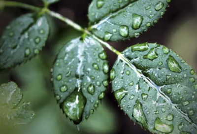 ​关于乐于助人的说说(精选69句)