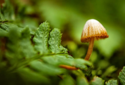 ​2024年发朋友圈说说 2024年朋友圈的心情说说