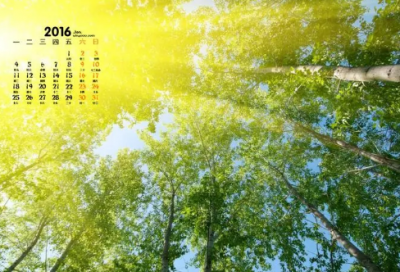 ​表达不想生二胎的说说(精选50句)