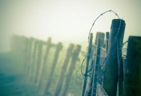 1708619035140176.png image.png