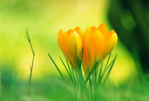 1708619203343892.png image.png