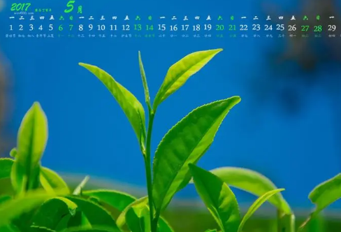 1708619369855224.png image.png