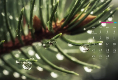 ​失眠且伤感的朋友圈说说(精选76句)