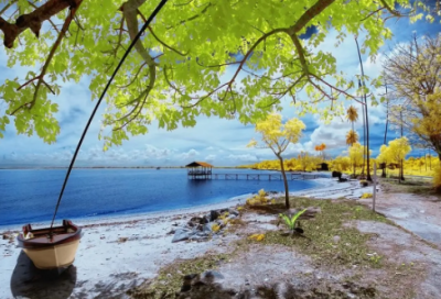 ​最想对老公说的情话 对老公说的一句情话(精选77句)