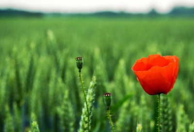 ​朋友之间的友谊说说 真心朋友简短暖心话(精选78句)