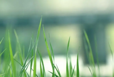 ​班级工作总结（精选范文5篇）