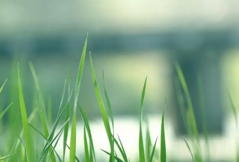 1710058958877633.png image.png