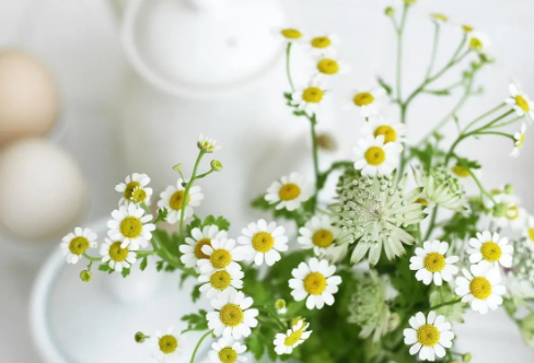 1710059128569585.png image.png