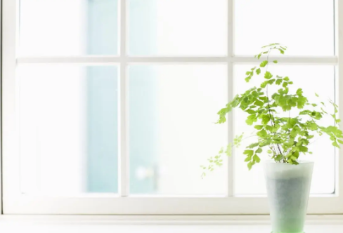 1710059466854638.png image.png