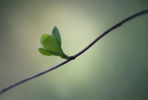 1710059635354380.png image.png