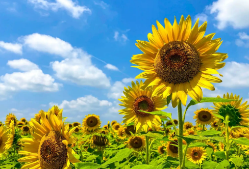 1710059805658417.png image.png