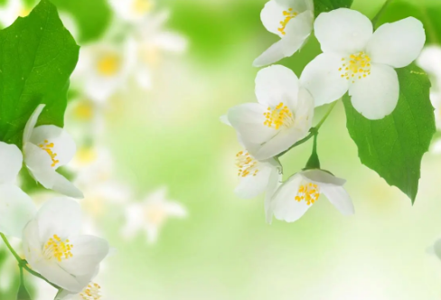 1710060143604208.png image.png