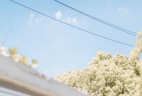 1710060313311831.png image.png