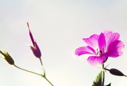 1710060482946918.png image.png