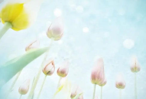 1710061667967528.png image.png