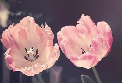 ​检讨书范文（万能检讨书6篇）