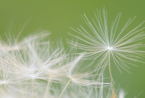 1710062006521060.png image.png