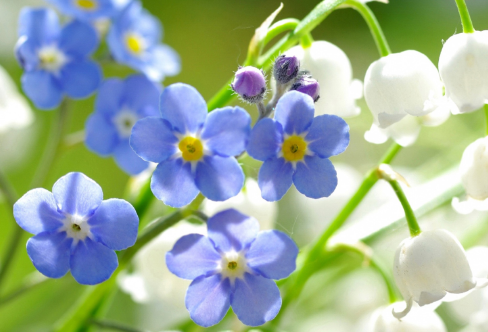 1710062175242848.png image.png