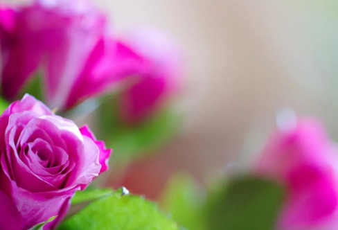 1710062683398546.png image.png