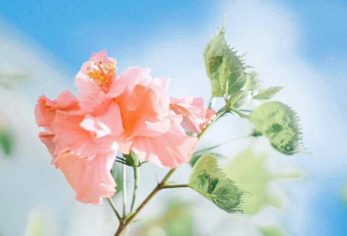 1710063191512068.png image.png