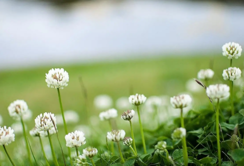 1710063360841187.png image.png