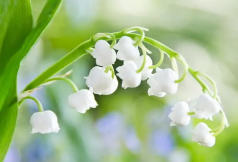 1710063529257851.png image.png