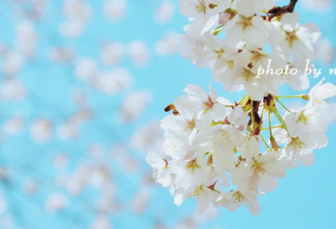 1710063699220988.png image.png