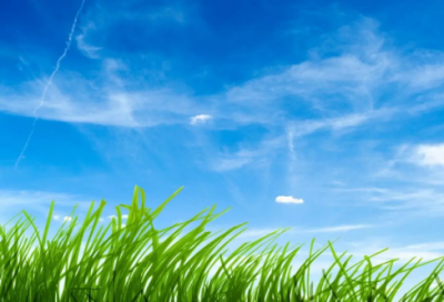 ​《爱丽丝漫游奇境记》孩子的内心世界奇妙而美好