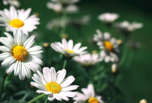 1710064037860412.png image.png