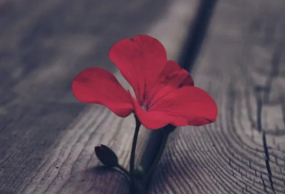 ​积极分子培训心得（入党积极分子培训班演讲）