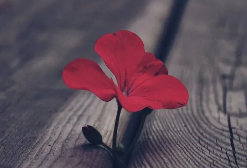 1710064206668724.png image.png