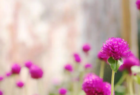 1710064376202540.png image.png