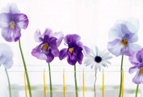 1710064545664202.png image.png