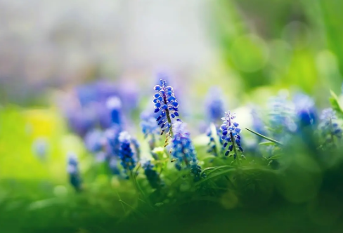 1710064715255261.png image.png