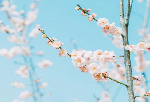 1710064884548285.png image.png