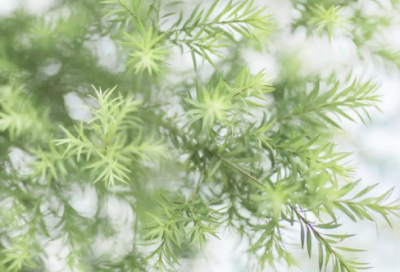 ​幼儿园小班教育随笔（精选范文6篇）