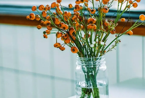 1710065223509330.png image.png